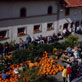 link zum Hitscherhof Hitscherhof